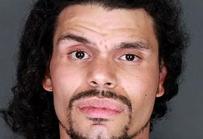 NY Mother Stops Violent Home Invasion, Saves Her Four Children