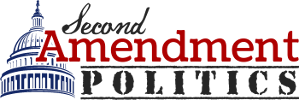 Second Amendment Politics